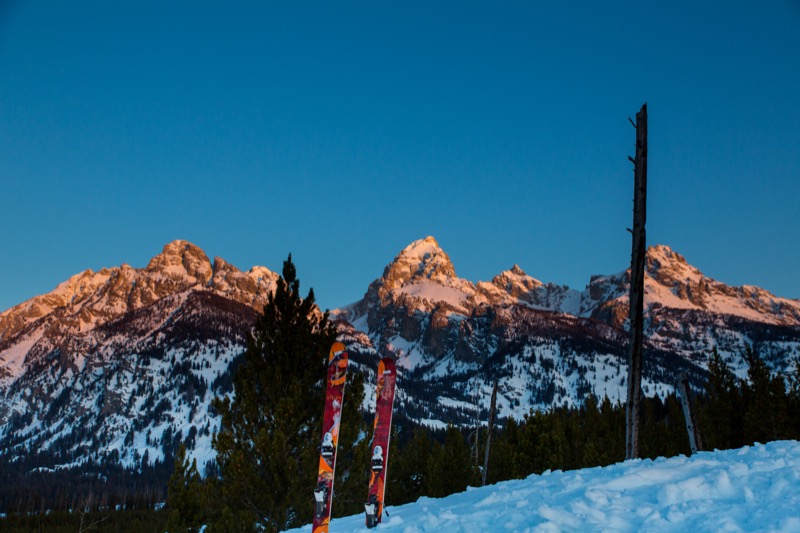 20150308-GC1A0273.jpg